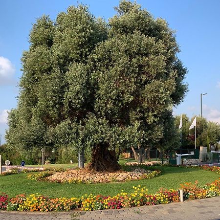 Mina'S Suites - קיסריה Εξωτερικό φωτογραφία